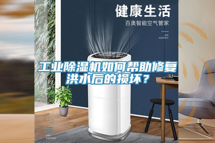 工業草莓视频污污污污如何幫助修複洪水後的損壞？