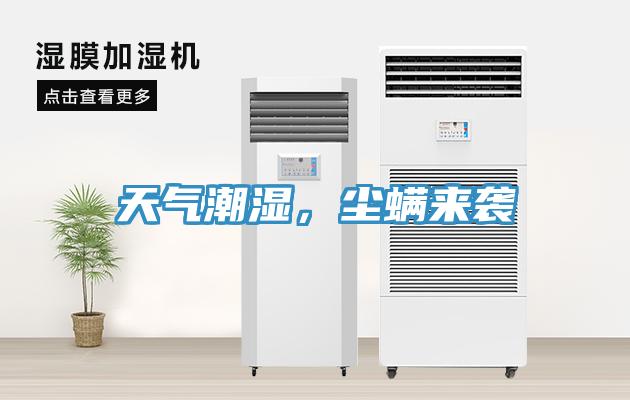 天氣潮濕，塵蟎來襲