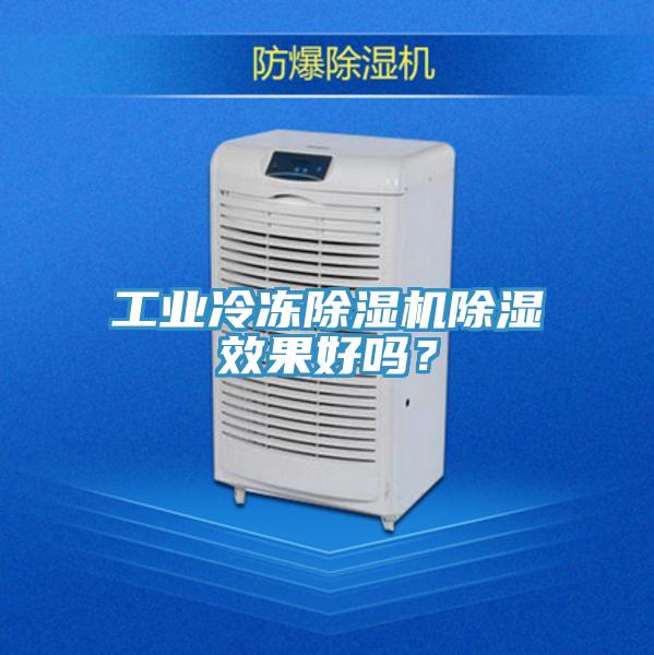 工業冷凍草莓视频污污污污除濕效果好嗎？