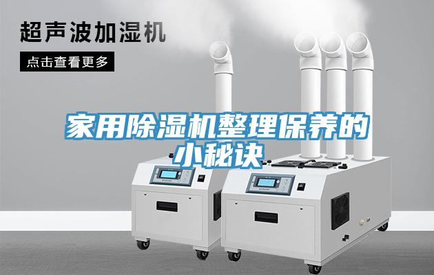 家用草莓视频污污污污整理保養的小秘訣