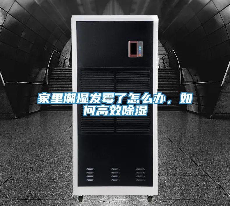 家裏潮濕發黴了怎麽辦，如何高效除濕