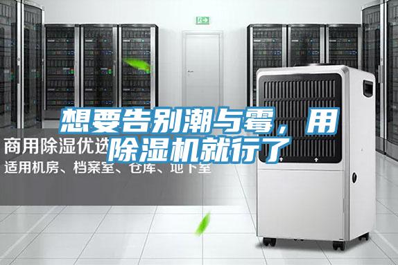 想要告別潮與黴，用草莓视频污污污污就行了