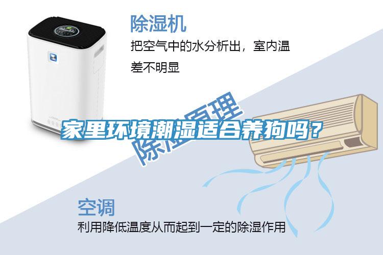 家裏環境潮濕適合養狗嗎？
