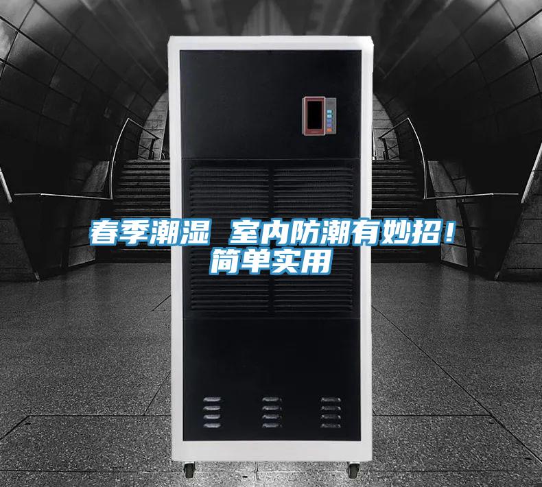 春季潮濕 室內防潮有妙招！簡單實用
