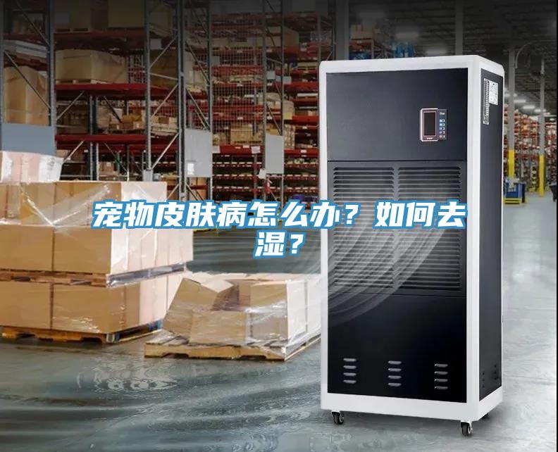 寵物皮膚病怎麽辦？如何去濕？