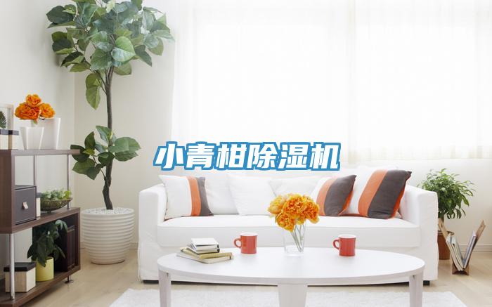 小青柑草莓视频污污污污