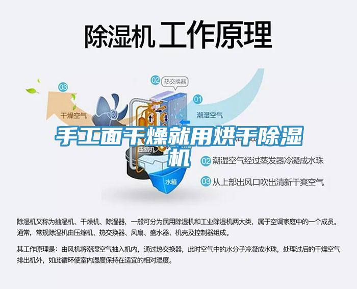 手工麵幹燥就用烘幹草莓视频污污污污