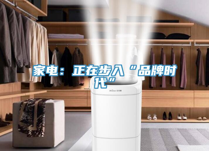 家電：正在步入“品牌時代”
