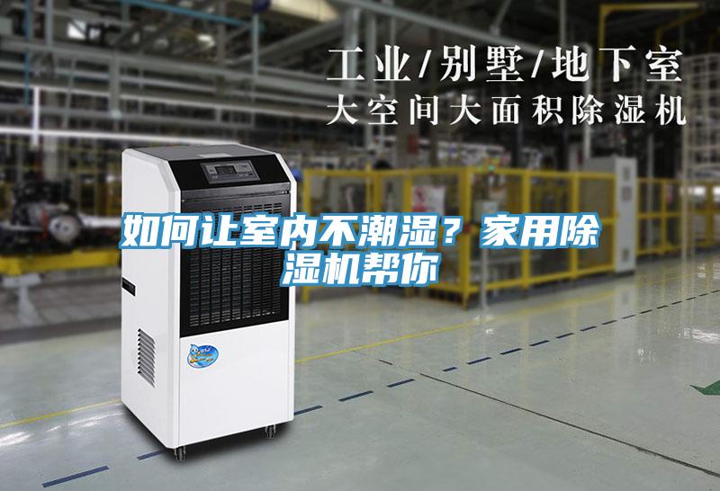 如何讓室內不潮濕？家用草莓视频污污污污幫你