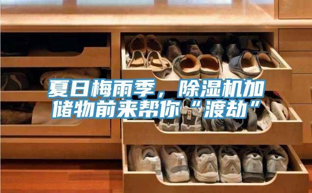 夏日梅雨季，草莓视频污污污污加儲物前來幫你“渡劫”