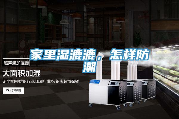 家裏濕漉漉，怎樣防潮