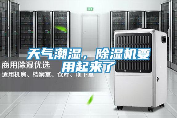 天氣潮濕，草莓视频污污污污要用起來了