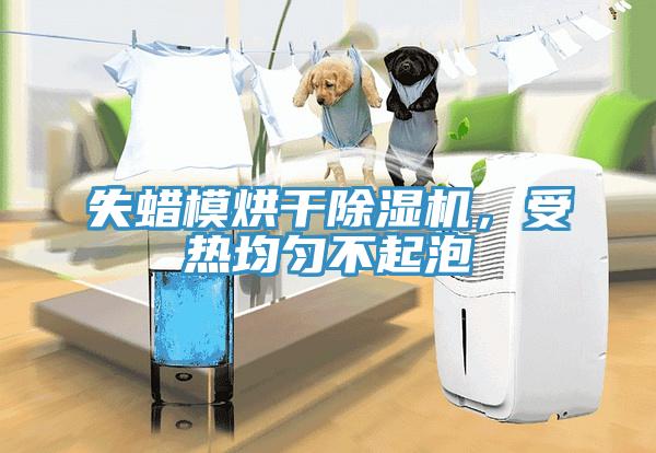 失蠟模烘幹草莓视频污污污污，受熱均勻不起泡