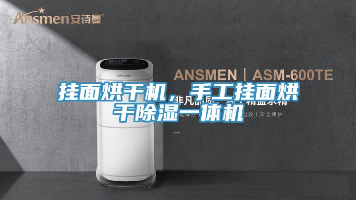 掛麵烘幹機，手工掛麵烘幹除濕一體機