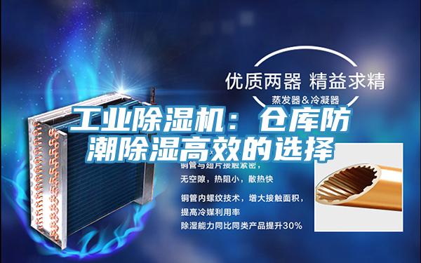 工業草莓视频污污污污：倉庫防潮除濕高效的選擇