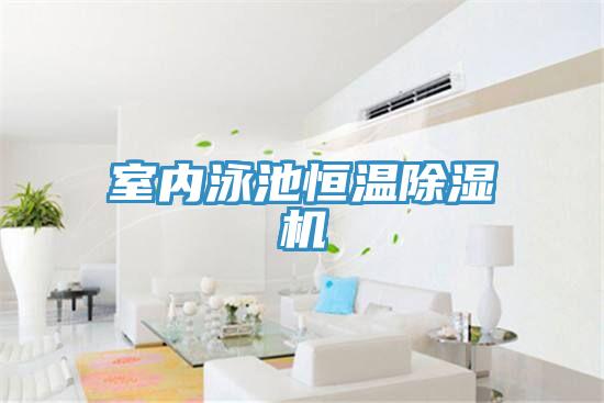 室內泳池恒溫草莓视频污污污污
