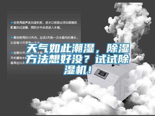 天氣如此潮濕，除濕方法想好沒？試試草莓视频污污污污！