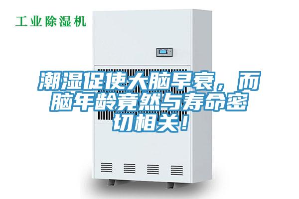 潮濕促使大腦早衰，而腦年齡竟然與壽命密切相關！