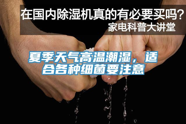 夏季天氣高溫潮濕，適合各種細菌要注意