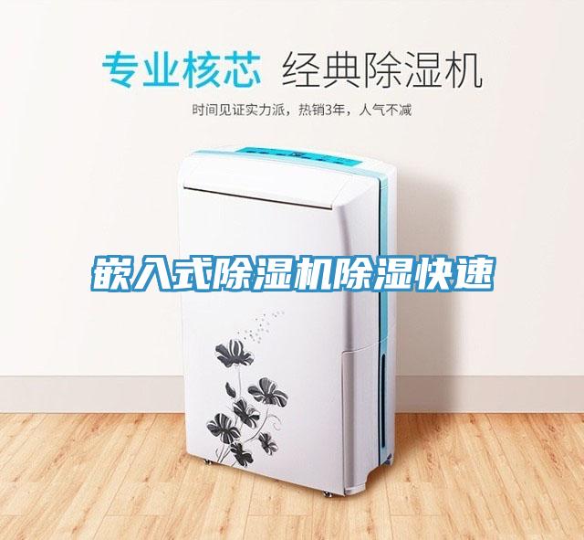 嵌入式草莓视频污污污污除濕快速