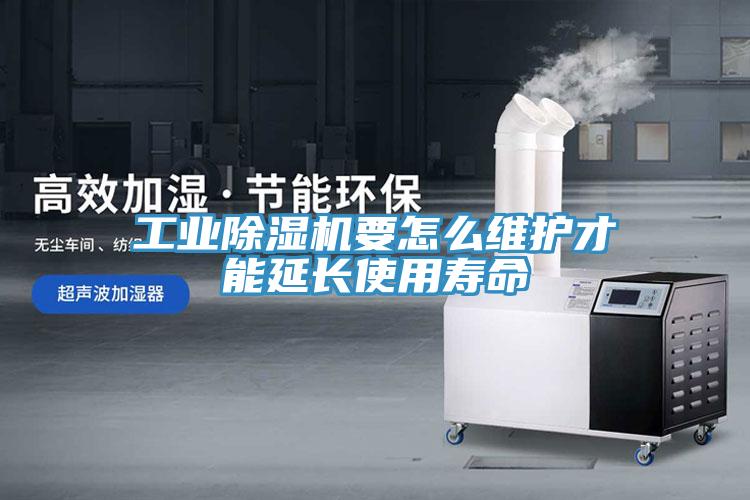 工業草莓视频污污污污要怎麽維護才能延長使用壽命