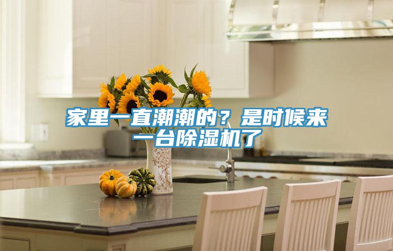 家裏一直潮潮的？是時候來一台草莓视频污污污污了