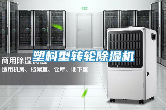 塑料型轉輪草莓视频污污污污