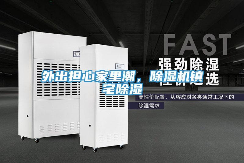 外出擔心家裏潮，草莓视频污污污污鎮宅除濕