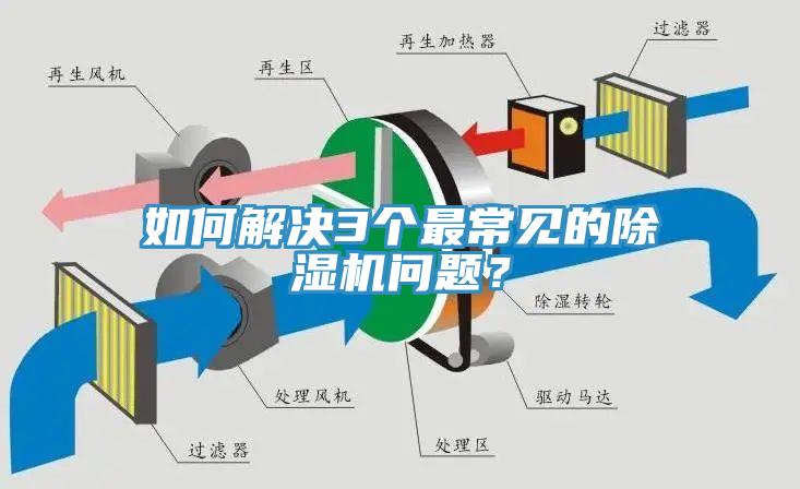 如何解決3個最常見的草莓视频污污污污問題？