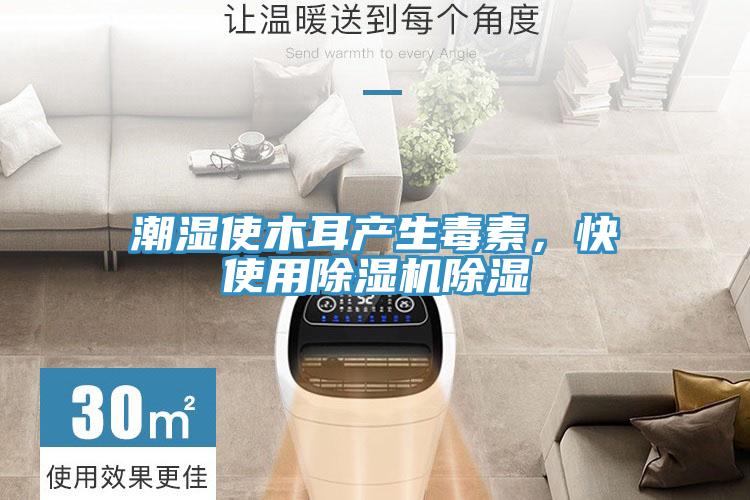 潮濕使木耳產生毒素，快使用草莓视频污污污污除濕