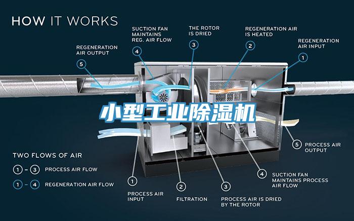小型工業草莓视频污污污污