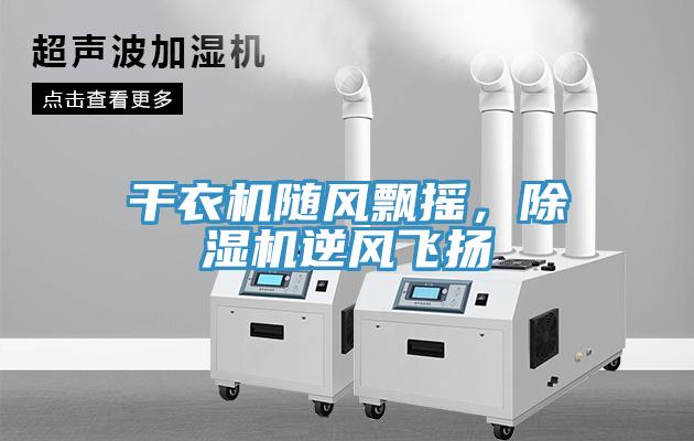 幹衣機隨風飄搖，草莓视频污污污污逆風飛揚