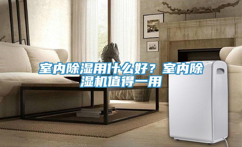 室內除濕用什麽好？室內草莓视频污污污污值得一用
