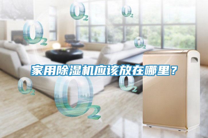 家用草莓视频污污污污應該放在哪裏？