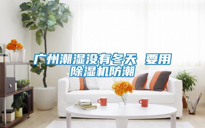 廣州潮濕沒有冬天 要用草莓视频污污污污防潮