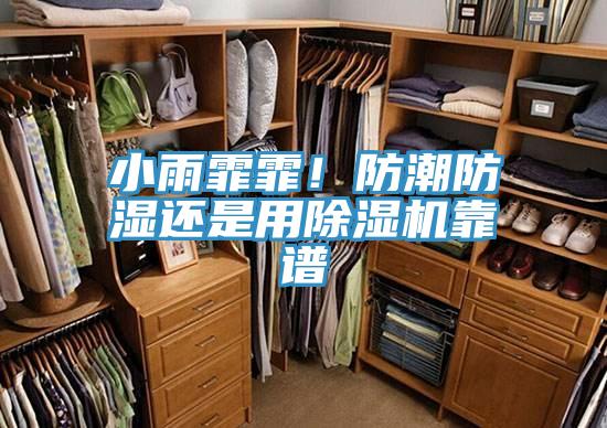 小雨霏霏！防潮防濕還是用草莓视频污污污污靠譜