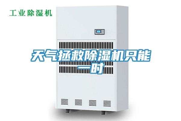 天氣拯救草莓视频污污污污隻能一時