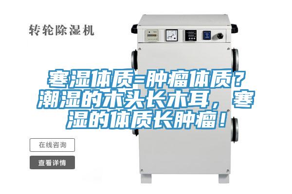 寒濕體質=腫瘤體質？潮濕的木頭長木耳，寒濕的體質長腫瘤！