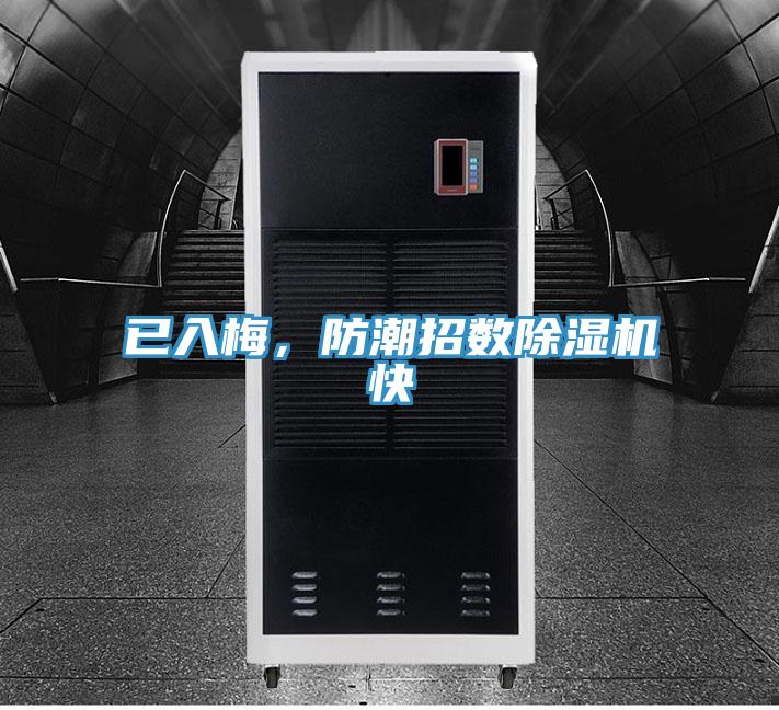 已入梅，防潮招數草莓视频污污污污快