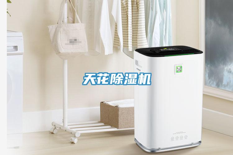 天花草莓视频污污污污