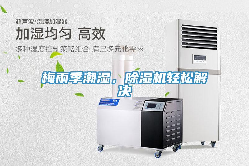 梅雨季潮濕，草莓视频污污污污輕鬆解決