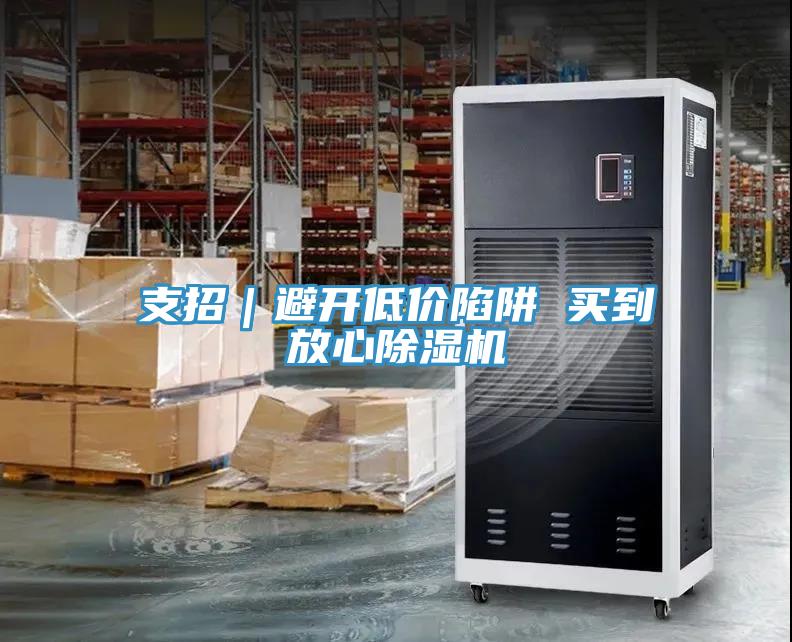 支招｜避開低價陷阱 買到放心草莓视频污污污污
