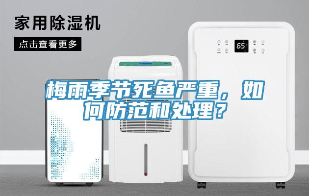 梅雨季節死魚嚴重，如何防範和處理？