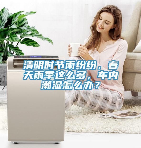 清明時節雨紛紛，春天雨季這麽多，車內潮濕怎麽辦？