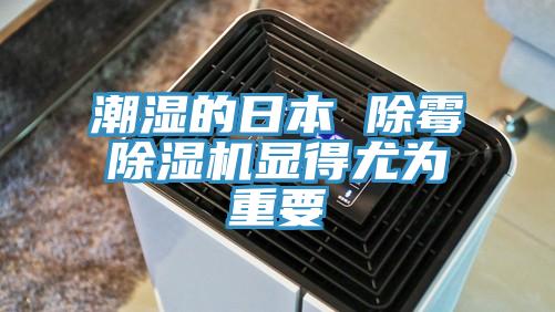 潮濕的日本 除黴草莓视频污污污污顯得尤為重要