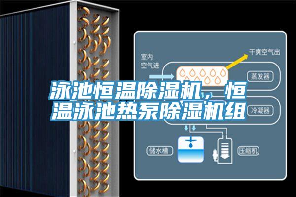 泳池恒溫草莓视频污污污污，恒溫泳池熱泵草莓视频污污污污組