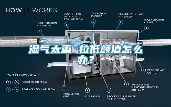 濕氣太重 拉低顏值怎麽辦？