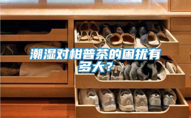 潮濕對柑普茶的困擾有多大？