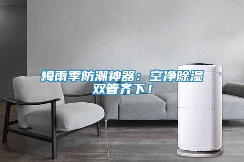梅雨季防潮神器：空淨除濕雙管齊下！