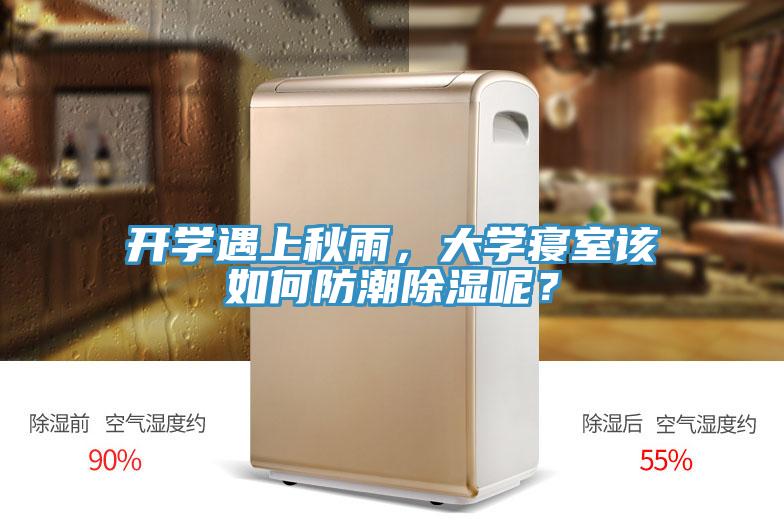 開學遇上秋雨，大學寢室該如何防潮除濕呢？